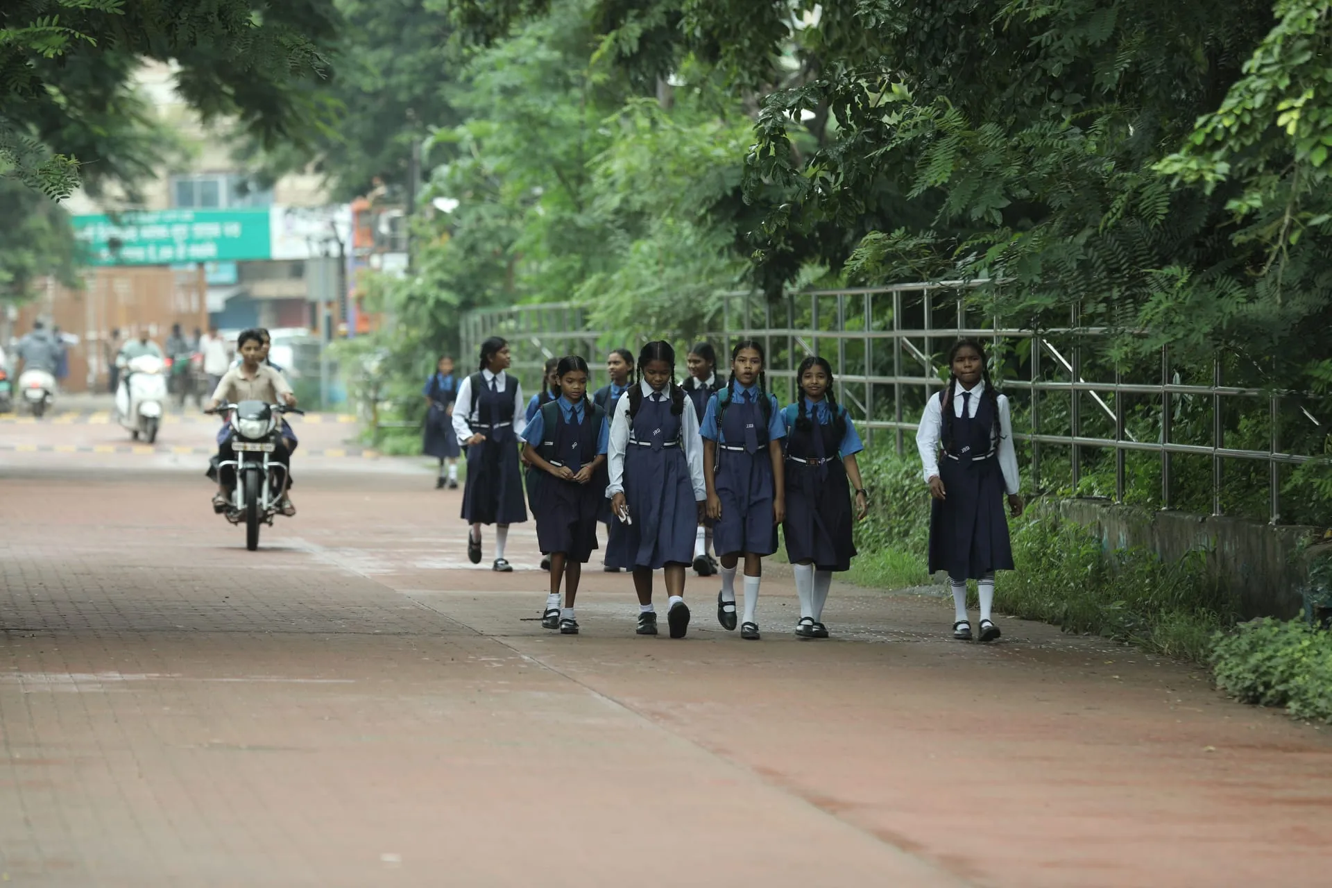 A line of schoolgirls in uniform walking to school along a tree-lined road.